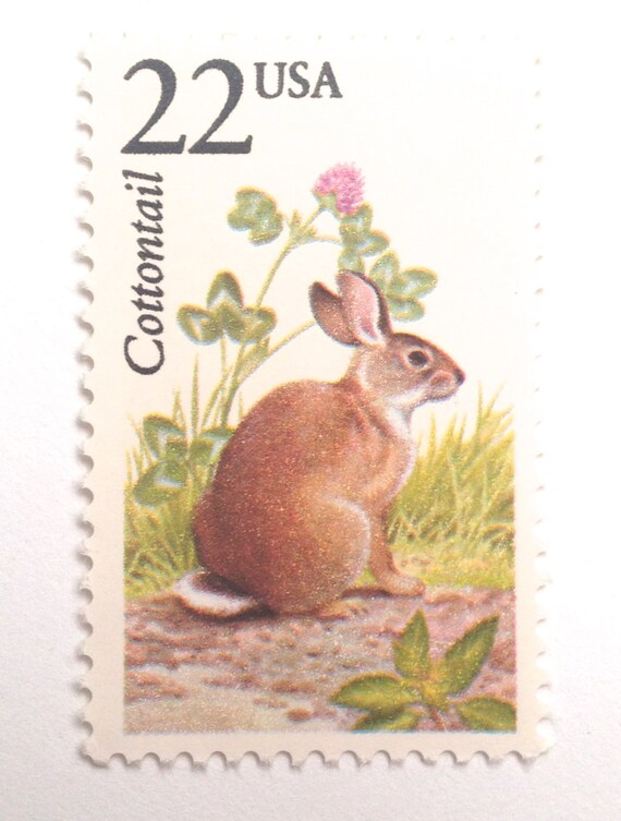 Bunny Stamp Stamps Paper & Party Supplies