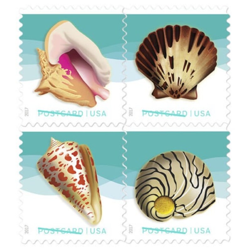 12 Seashell Stamps Unused 35 Cent Nautical Sea Shell Postage Etsy