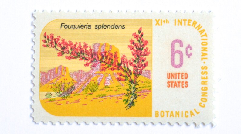 10 Unused Desert Postage Stamps 1969 Vintage Southwestern Desert Unused Stamps for Mailing