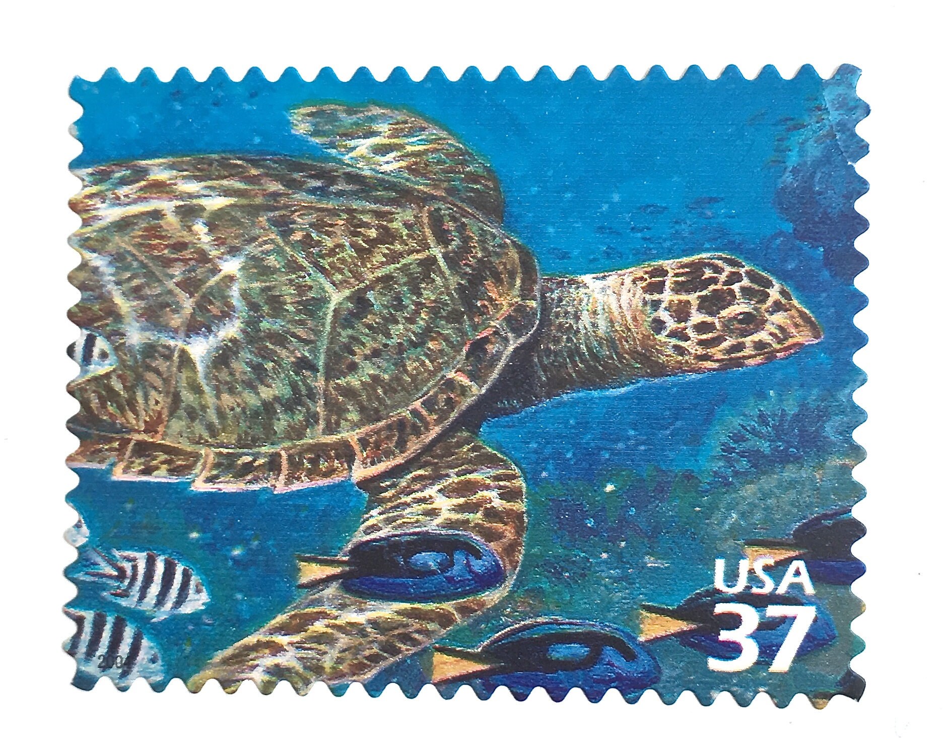 1 Vintage Sea Turtle Postage Stamp // Unused Tropical Sea Etsy