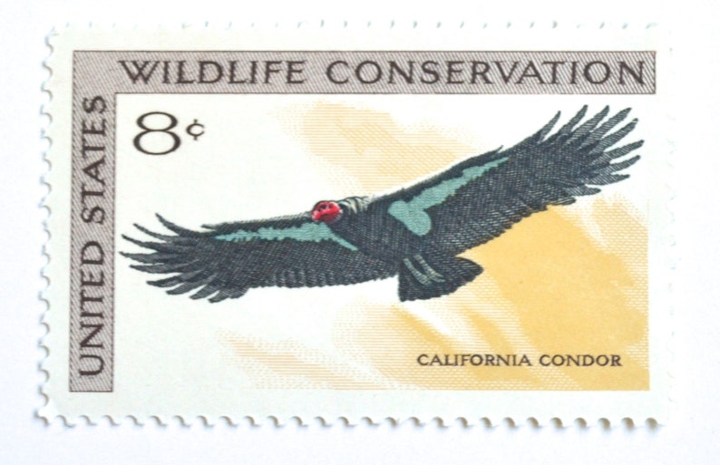 10 Unused Vintage 1971 California Condor Stamps 8 Cent Wildlife Conservation Postage Stamps