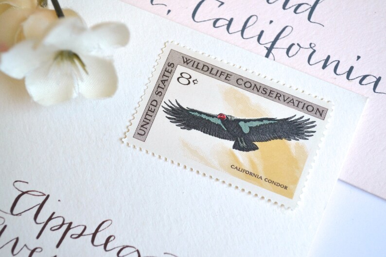 10 Unused Vintage 1971 California Condor Stamps 8 Cent Wildlife Conservation Postage Stamps
