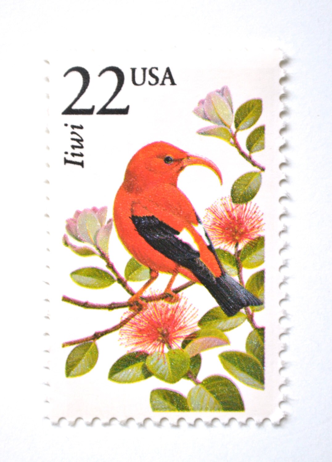 10 Tropical Hawaii Vintage Postage Stamps Unused Iiwi Hawaiian Etsy