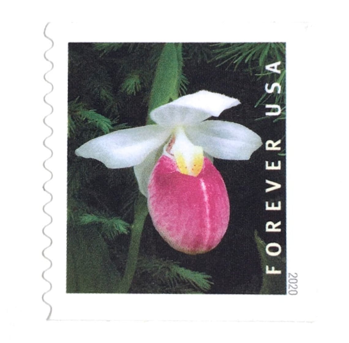 10 Pink Flower Forever Stamps Unused Pink Lady's Slipper Etsy