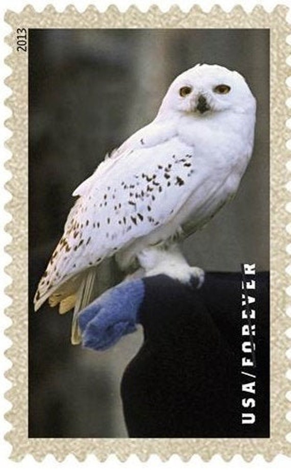 1 Hedwig Forever Stamp Harry Potter Owl Hedwig Snowy Owl Etsy