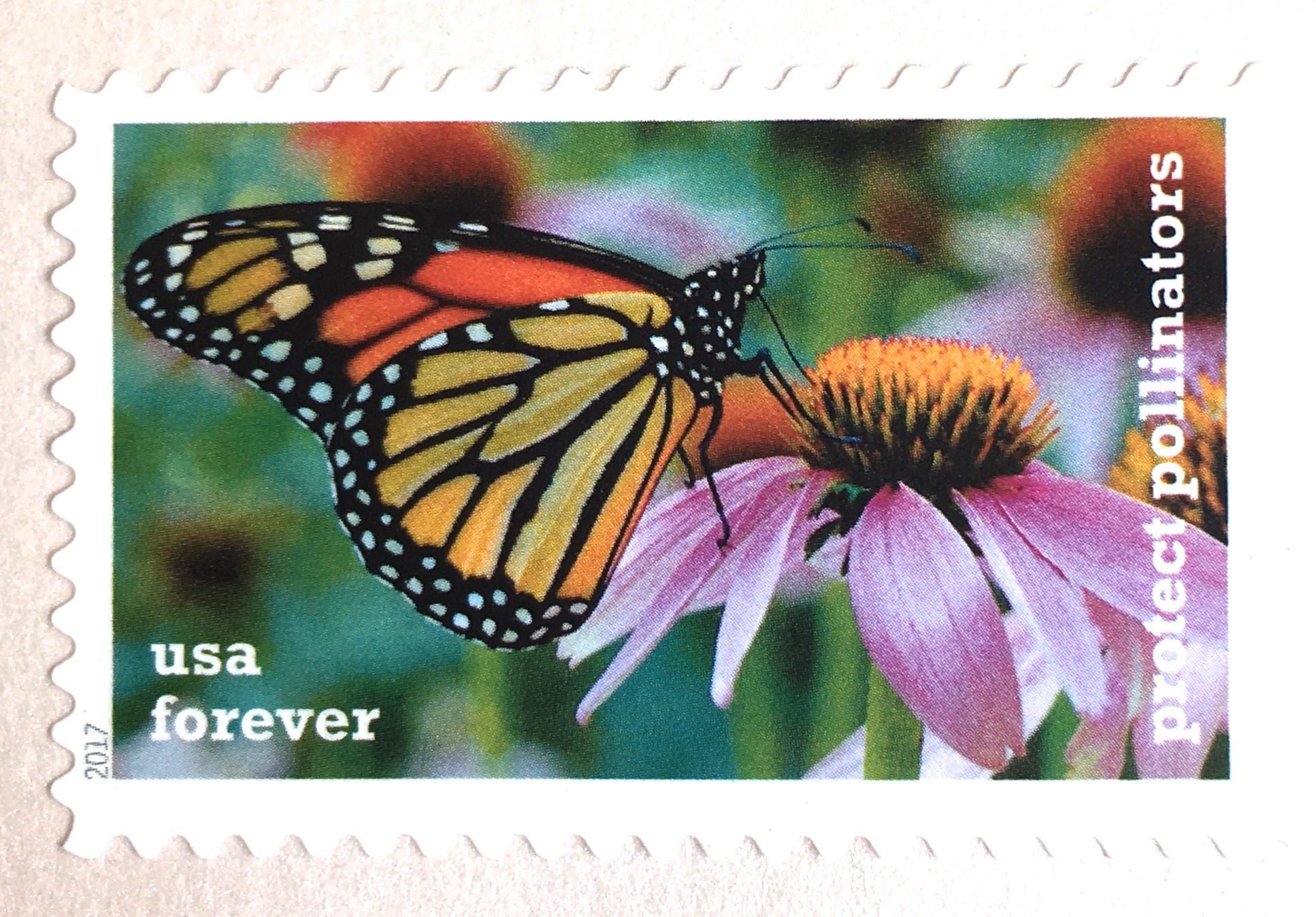 10 papillon monarque toujours des timbres / / Monarch Butterfly timbres-poste / / protéger les pollinisateurs / / papillons pour l’envoi de faire-parts 10 papillon monarque toujours des timbres / / / Monarch Butterfly timbres-poste / / / protéger les pollinisateurs / / papillons pour l’envoi de faire-parts 1cf288