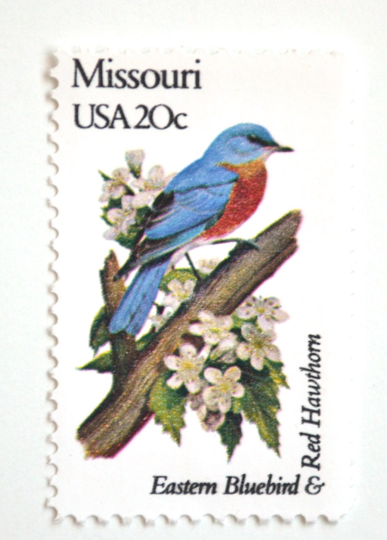 10 Missouri Bluebird Postage Stamps Vintage Unused Eastern Etsy