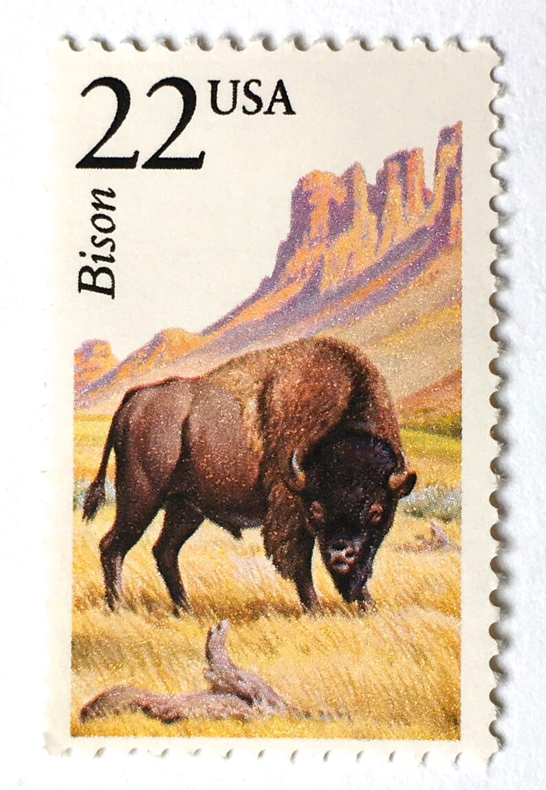 10 Buffalo Postage Stamps Unused Vintage 22 Cent American Etsy