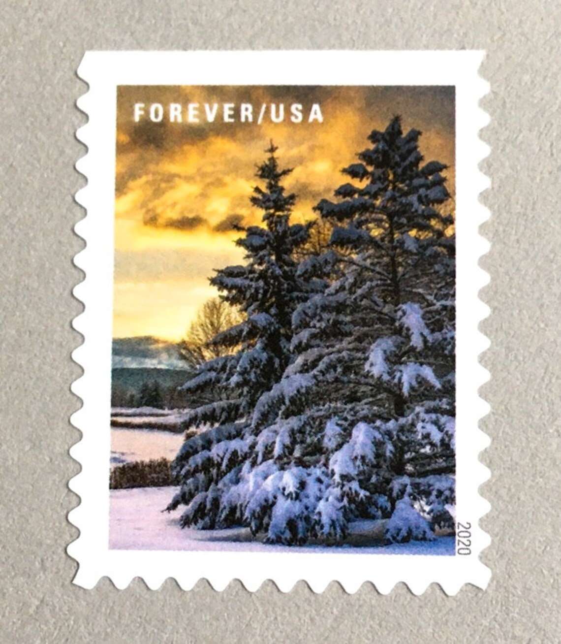 10 Evergreen Forever Stamps for Mailing Winter Pine Tree Etsy