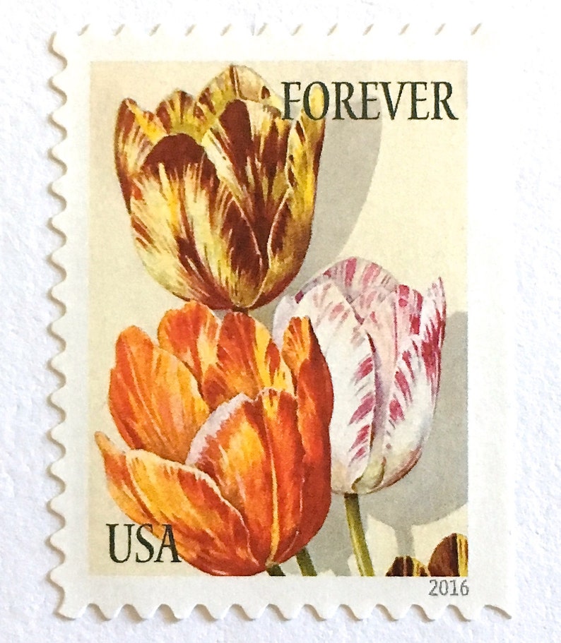 10 Forever Tulip Stamps Unused Vintage Print Tulips Postage Etsy