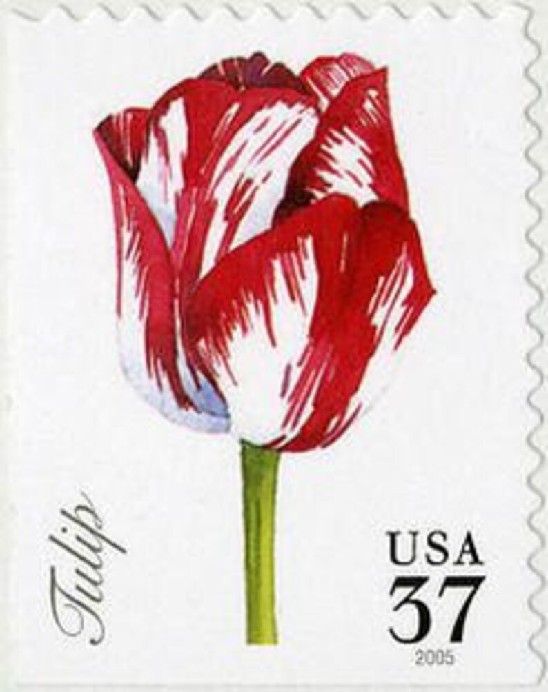 12 Spring Flower Stamps // Unused Floral Postage // Tulip Etsy