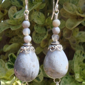 Gray Botswana Agate Gemstone Earrings image 3