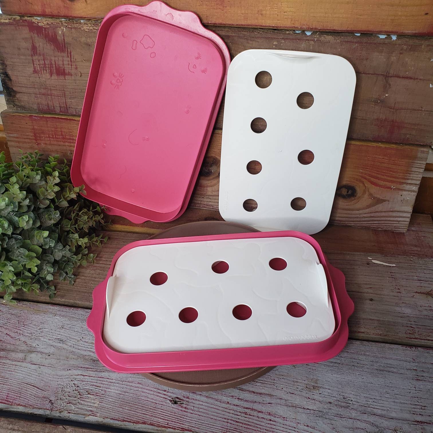 Tupperware Animal Wigglers Set w/Booklet **Jigglers Mold