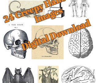 May include: A digital download of 24 creepy Halloween images. The images include a skull and crossbones, a crow, a vulture, a skeleton, a bat, and a brain. The text "24 Creepy Halloween Images" and "Digital Download" is written in orange on a white background.