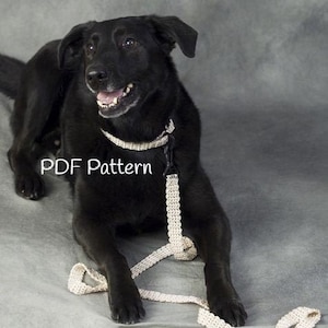 Dog Leash Collar Pattern, Dog Accessories, Easy Crochet, PDF Instant, Digital Download