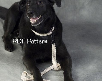 Patrón Collar Correa Perro, Accesorios Perro, Ganchillo Fácil, PDF Instantáneo, Descarga Digital