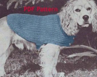 May include: A PDF pattern for a blue knitted dog sweater. The sweater is shown on a white dog with brown ears.