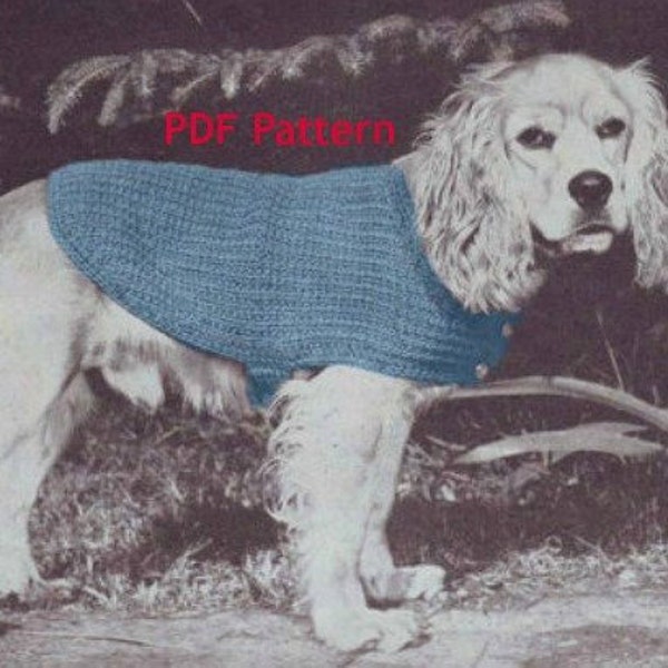 Dog Sweater Pattern, Puppy Coat, 3 Sizes: Sm Med Lg, Vintage 1950's Knit Pattern, Pet Supplies, PDF Instant, Digital Download