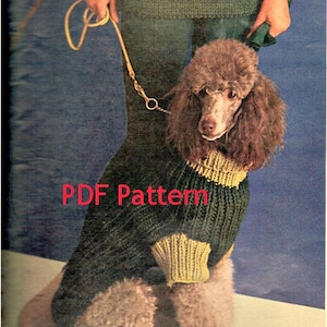 May include: A PDF pattern for a green and yellow dog sweater. The sweater is being worn by a brown poodle.