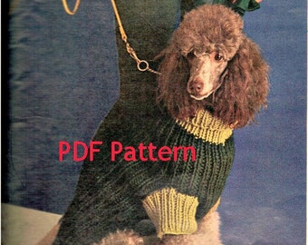 May include: A PDF pattern for a green and yellow dog sweater. The sweater is being worn by a brown poodle.