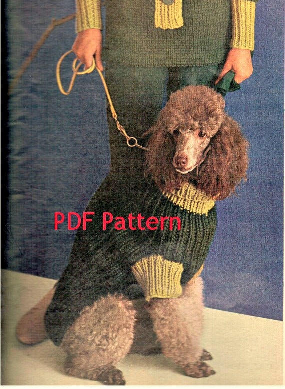 poodle turtleneck