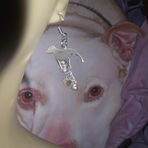 Pit bull silver earrings image 1