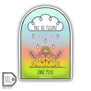 Funny Vinyl Sticker Planner Sticker Water Bottle Sticker Laptop Sticker Decal Autocollant pas de fleurs sans pluie