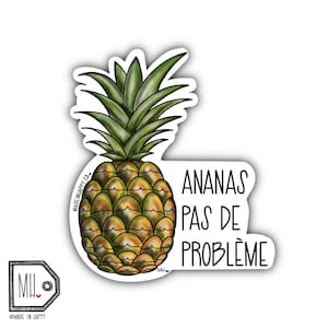 Funny Vinyl Sticker Planner Sticker Water Bottle Sticker Laptop Sticker Decal Autocollant Pineapple sticker Ananas pas de problème