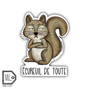 Funny Vinyl Sticker Planner Sticker Water Bottle Sticker Laptop Sticker Decal Autocollant squirrel sticker Écureuil de toute