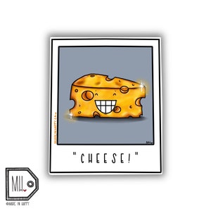 Funny Vinyl Sticker Planner Sticker Water Bottle Sticker Laptop Sticker Decal Autocollant cheese polaroid picture cheese sticker