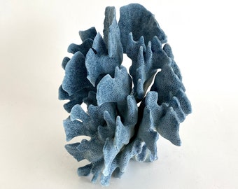 Natural Blue Coral Specimen Beach Home Decor Coastal Home