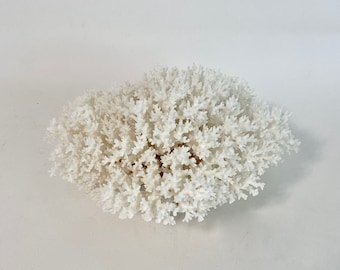 Grand spécimen de corail en dentelle blanche naturelle, décoration côtière de mariage sur la plage