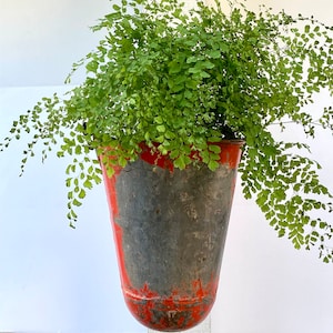 Christmas Red Fire Bucket Hanging Planter image 1