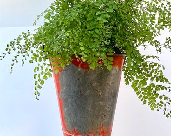 Christmas Red Fire Bucket Hanging Planter