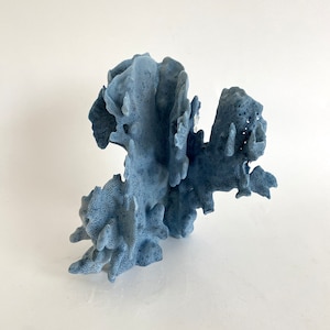 Natural Blue Coral Specimen Beach Wedding Coastal Decor