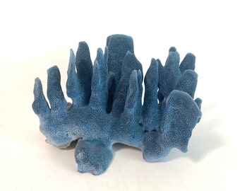 Natural Blue Coral Specimen Coastal Beach Decor