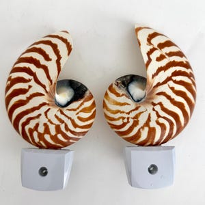 May include: Two nautilus shell night lights. Each shell has brown and white striped patterns. The shells are mounted on square, light gray night light bases with a single, round light sensor.