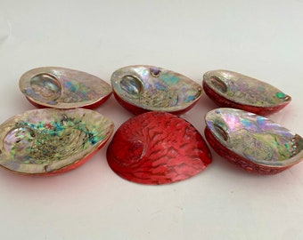 Dyed Red Abalone Shells