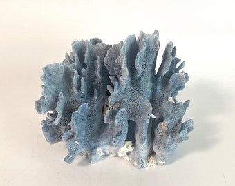 Natural Blue Coral Specimen Beach Home Decor Coastal Decor