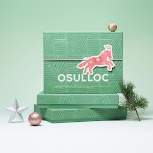 OSULLOC Tea Gift Set | Korean Jeju Island Tea Sampler, 6 Flavors image 4
