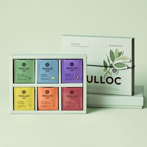 OSULLOC Tee Geschenk Set | koreanischer Jeju Island Tee Sampler, 6 Geschmacksrichtungen