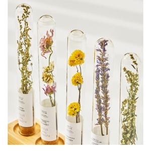 Könnte beinhalten: Fünf durchsichtige Glasreagenzgläser mit getrockneten Blumen und Kräutern. Jedes Röhrchen hat ein weißes Papieretikett mit dem Text FLOWER TEA STICK und botanischen Namen. Die Röhrchen sind in einer Reihe angeordnet und zeigen gelbe, violette und grüne Pflanzen.