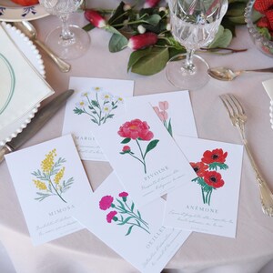 Illustrations *Langage des Fleurs*. Oeillet, Mimosa, Pivoine, Marguerite, Tulipe, Anémone. Carte postale.