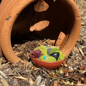 Mini Red Garden
