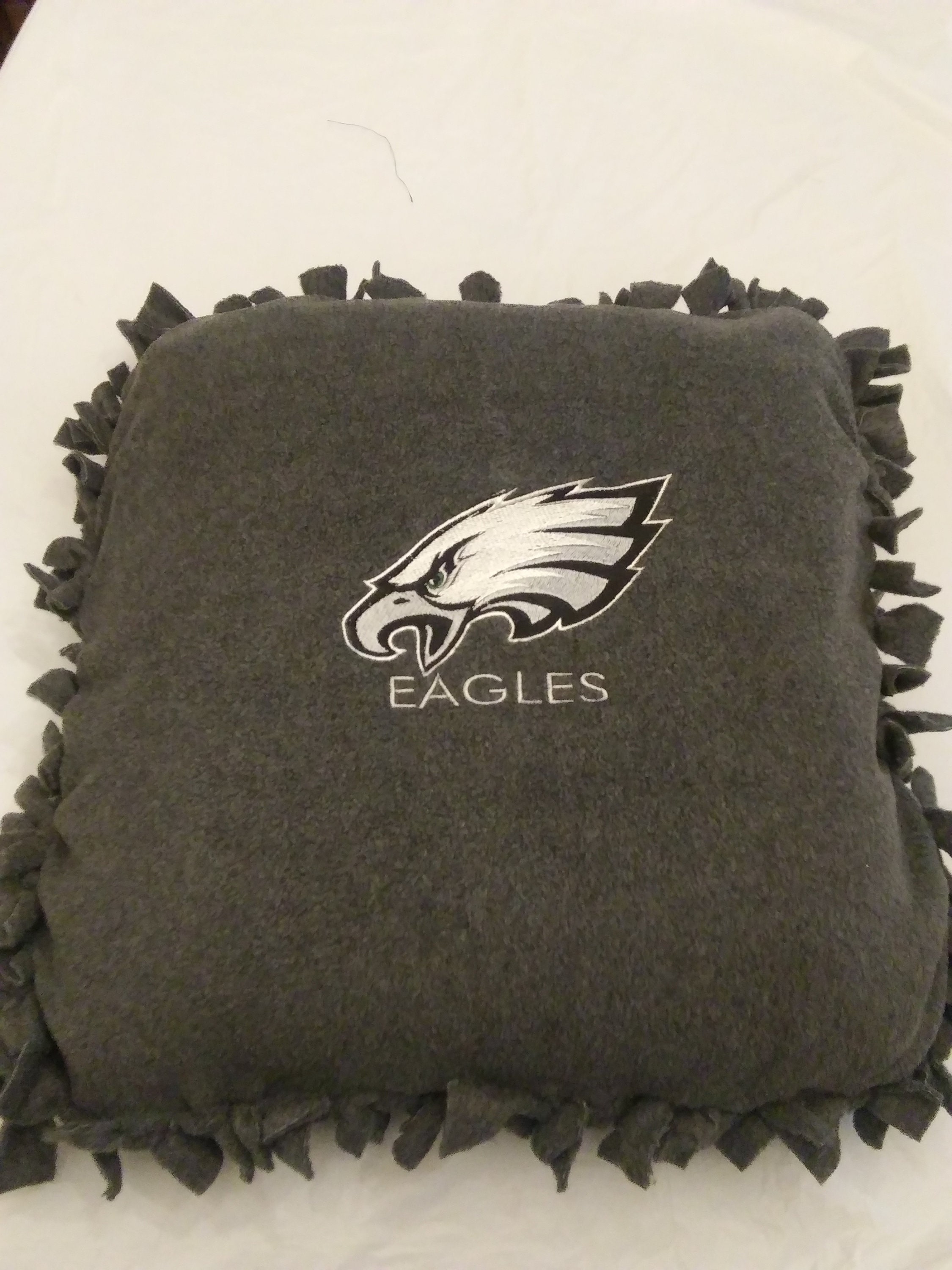 Philadelphia Eagles Pillow