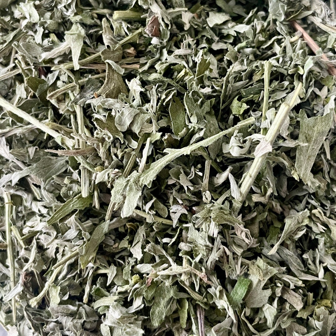 Organic Wormwood Herb Bulk Wholesale 4 Oz. Etsy