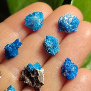 Cavansite / Cavansite Crystal / Cavansite on Stilbite / Cavansite in Matrix / Raw Cavansite / Cavansite Specimen / Cavansite Stone