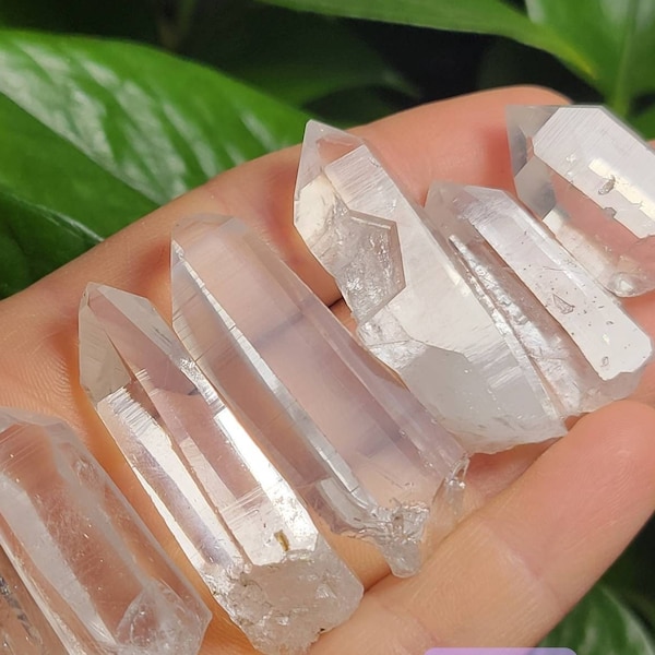 Lemurian Seed Crystal / COLOMBIAN Lemurian Quartz / Lemurian Quartz / Lemurian Crystal / Lemurian / Lemurian Laser / Lemurian Quartz Crystal