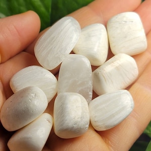 Tumbled Scolecite Crystal: Polished Indian Specimens