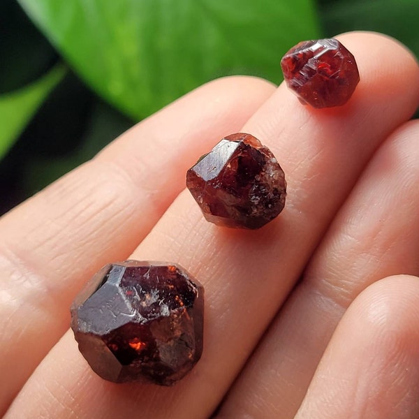 Garnet Crystal / Red Garnet / Raw Garnet Crystal / Natural Garnet Crystal / Garnet Gemstone / Garnet Stone / January Birthstone / Raw Garnet